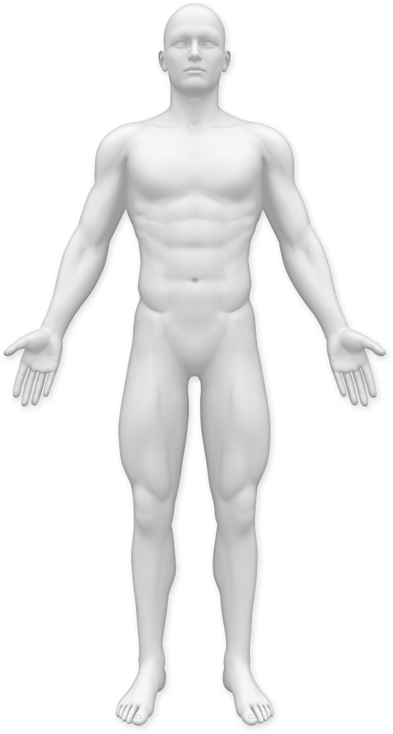 Figura del cuerpo humano